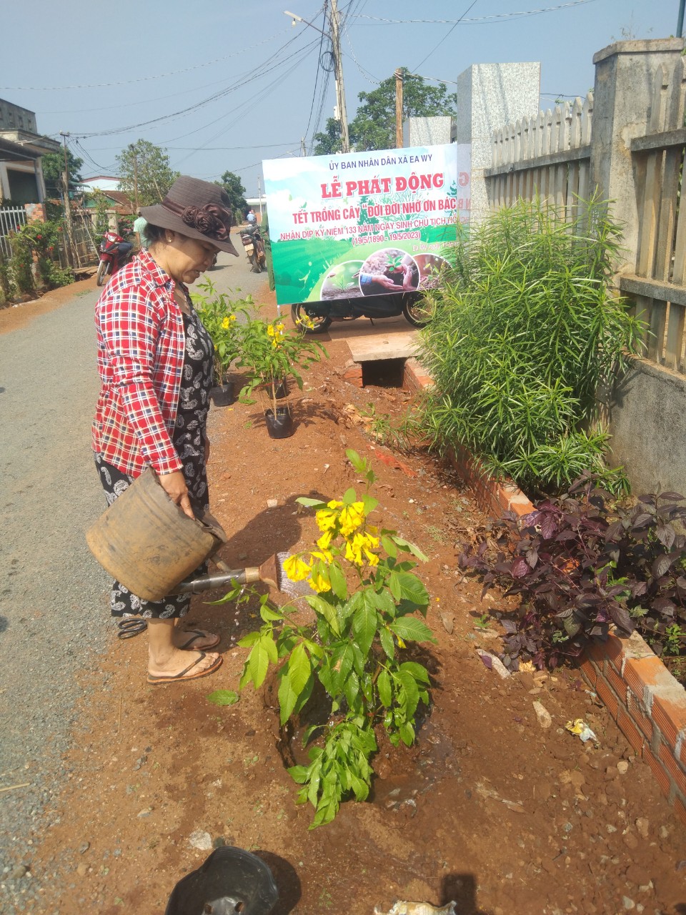 TRỒNG CÂY ĐƯỜNG HOA4